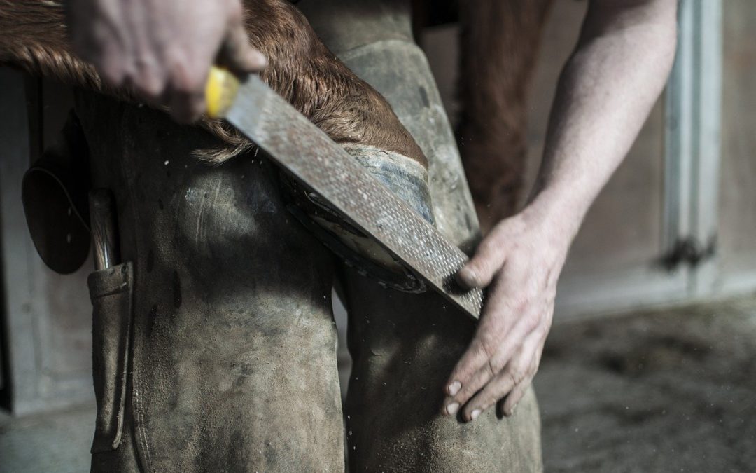 Top 4 Ways To Celebrate National Farriers Month